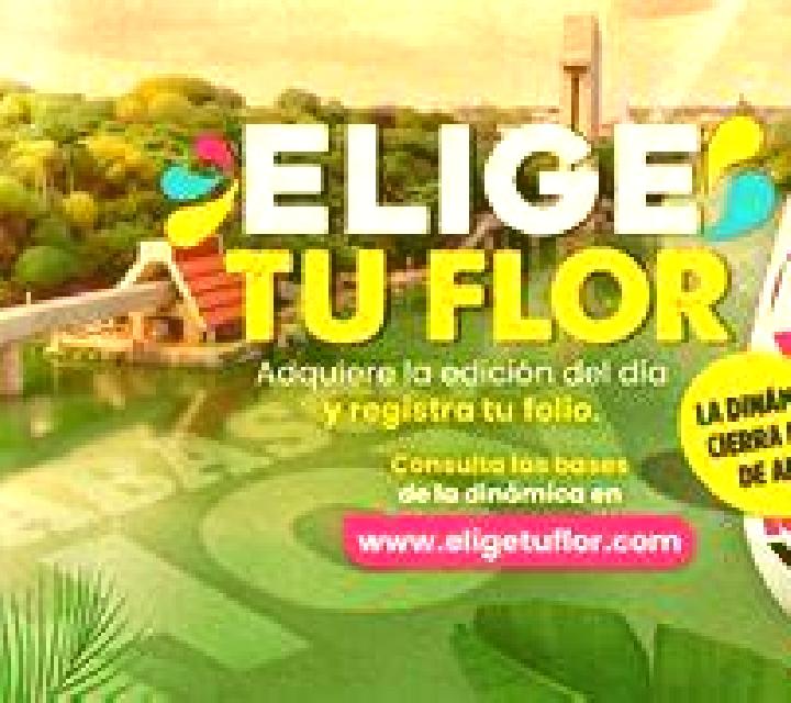 10 perfiles de escorts en Alcoutim, Portugal. Explora chicas, servicios, tarifas y reserva online. En domicilio y visita disponibles.