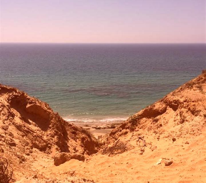 12 perfiles de escorts en Lyudmylivka, Ucrania. Explora chicas, servicios, tarifas y reserva online. En domicilio y visita disponibles.