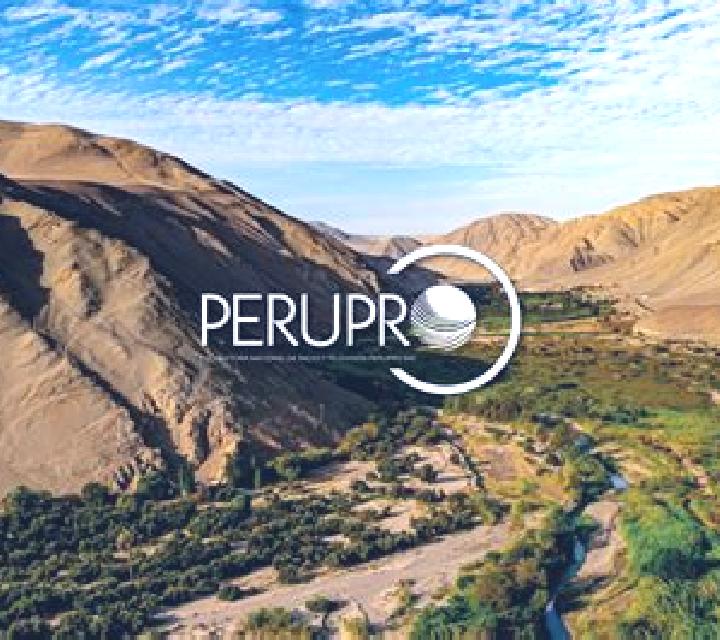 14 perfiles de escorts en Kungurtug, Rusia. Explora chicas, servicios, tarifas y reserva online. En domicilio y visita disponibles.