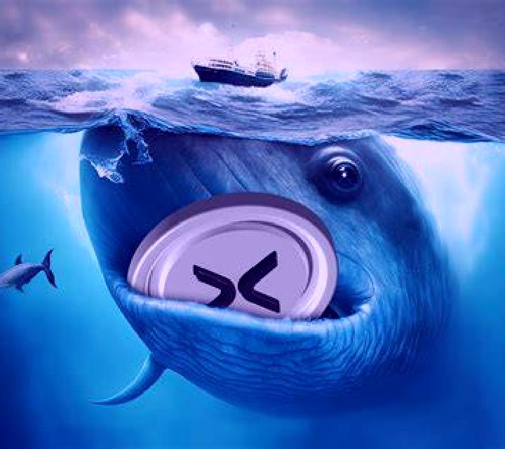 7 perfiles de escorts en Chuquiribamba, Ecuador. Explora chicas, servicios, tarifas y reserva online. En domicilio y visita disponibles.