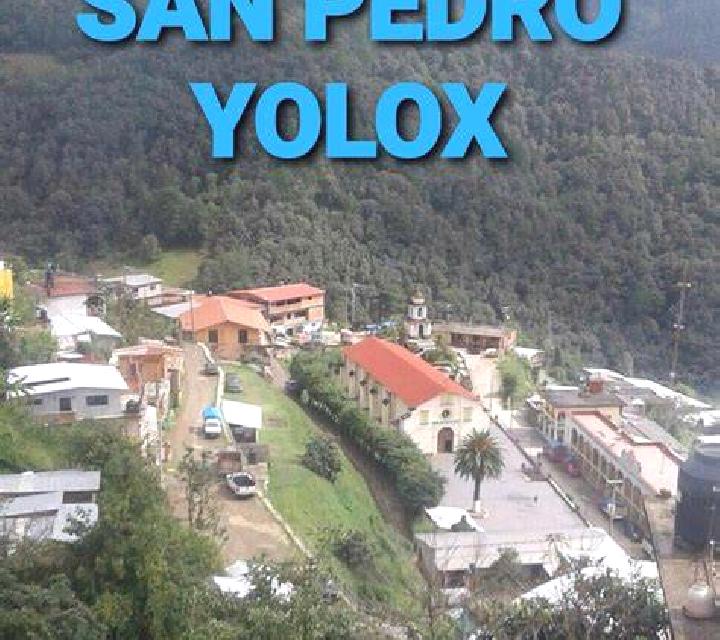 8 perfiles de escorts en Robore, Bolivia. Explora chicas, servicios, tarifas y reserva online. En domicilio y visita disponibles.