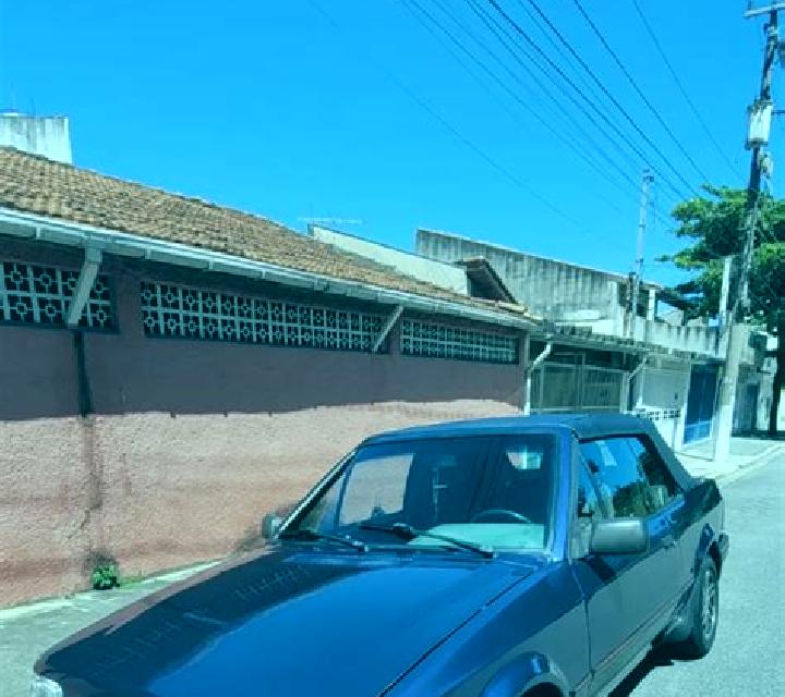 Alejandra, 24 — Escort en Morton, Estados Unidos