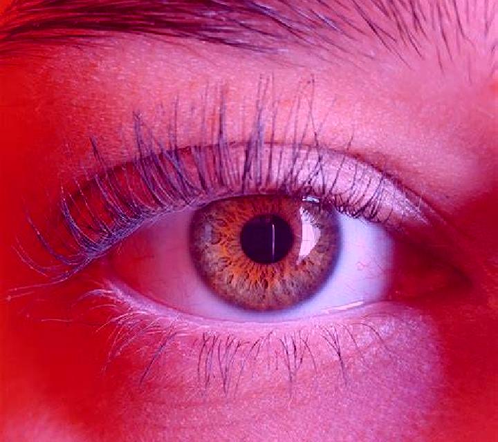 Andrea, 28, acompañante rubia platino de ojos grises y etnia latina basada en Noves. Ofrece Masaje de próstata, Masaje, Francés natural, Fetiche. Disponible ...