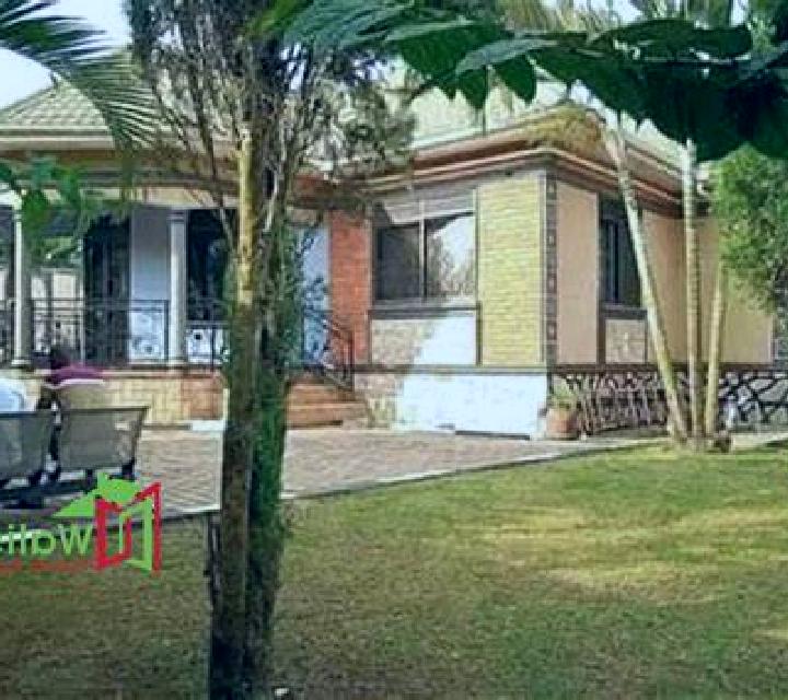 Aurora, 23, acompañante negra de ojos oscuros y etnia latina basada en Goushan. Ofrece Chica de fiesta, Dominación, Francés natural. Disponible en domicilio ...