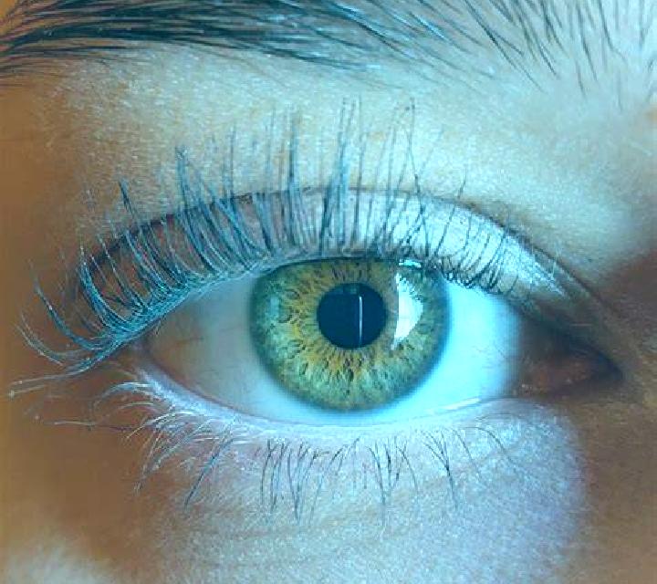Beatriz, 29, acompañante morena de ojos ámbar y etnia negra basada en Munoz East. Ofrece Francés natural, Hasta el final (CIM), Acompañante de viaje, Chica d...