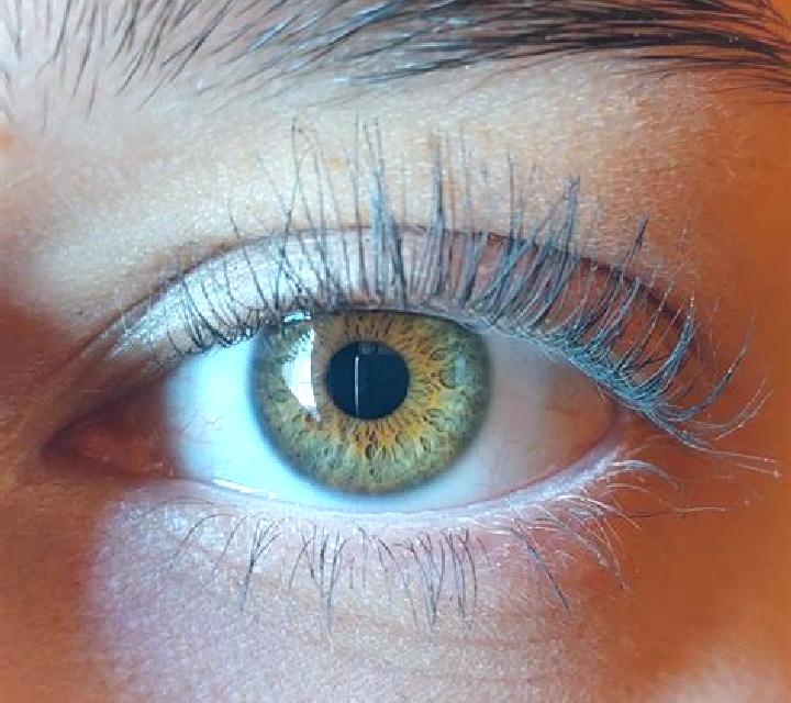 Beatriz, 32, acompañante pelirroja de ojos verdes y etnia india basada en Rozsoshi. Ofrece Dominación, Beso francés profundo, Experiencia de novia, Masaje er...