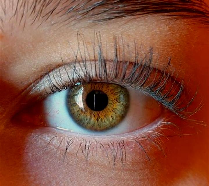 Bianca, 35, acompañante castaña de ojos oscuros y etnia caucásica basada en Kpalime. Ofrece Parejas, GFE (Experiencia de novia), Dominación, Masaje de prósta...