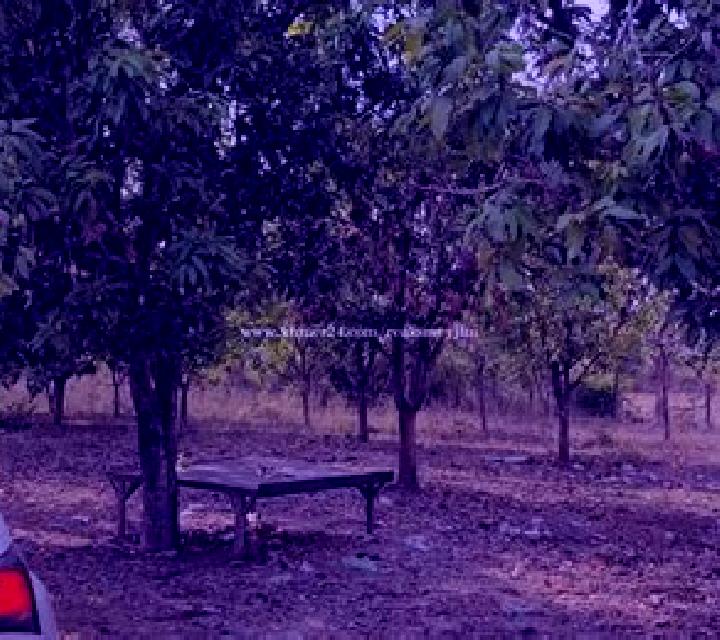 Blanca, 25, acompañante castaña de ojos grises y etnia oriente medio basada en Taman Petaling. Ofrece Striptease, 69, Chica de fiesta, Masaje, Dominación. Di...