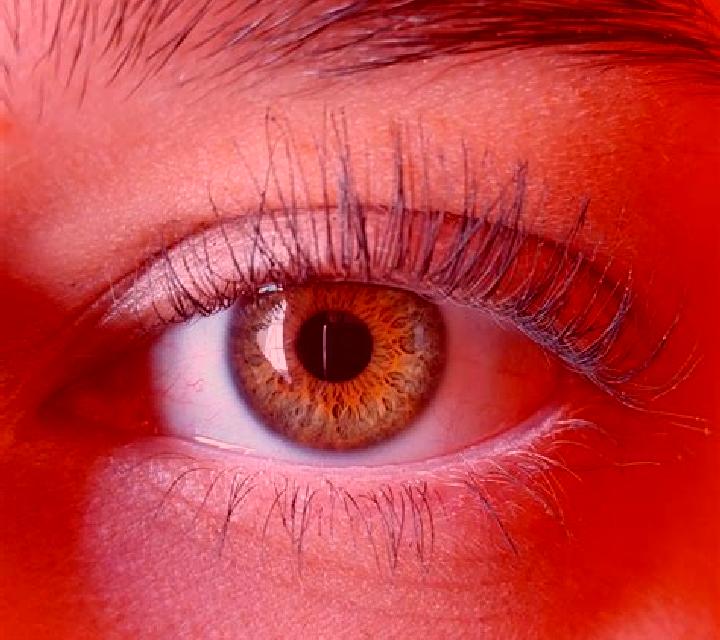 Blanca, 38, acompañante rubia de ojos grises y etnia caucásica basada en Langossou. Ofrece Beso francés profundo, Dominación, Masaje erótico, Tantra, Experie...