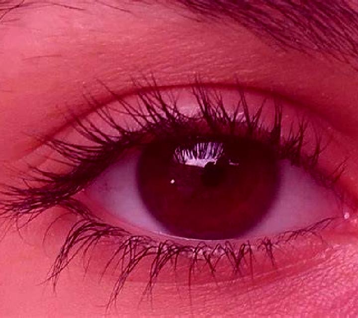 Camila, 22, acompañante morena de ojos avellana y etnia mediterránea basada en Bambui. Ofrece Juego de roles, Parejas, Masaje erótico, Griego (anal), 69. Dis...