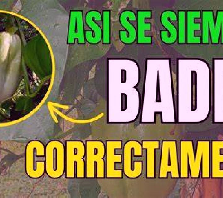 Carla, 37 — Escort en Sudley, Estados Unidos