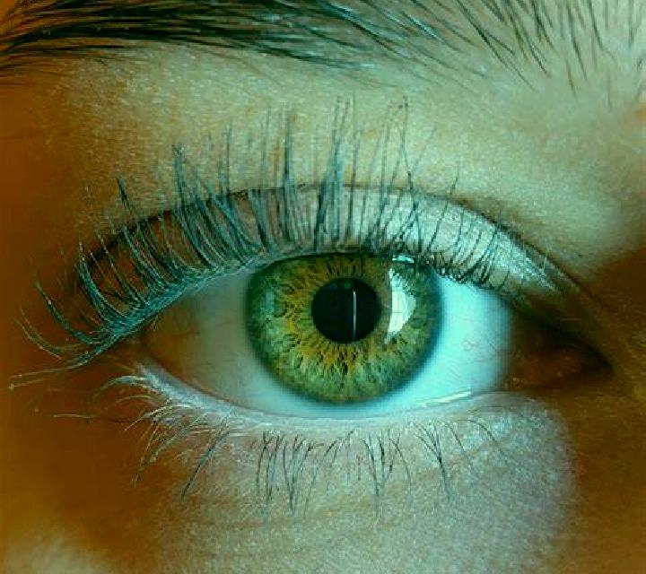 Cristina, 34 — Escort en Molde, Noruega