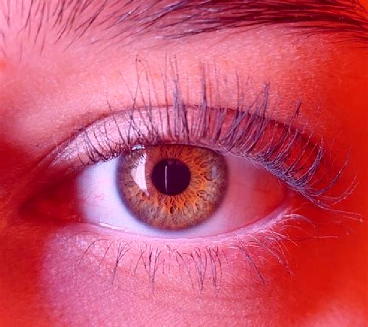 Daniela, 27, acompañante castaño claro de ojos avellana y etnia caucásica basada en Aish Maqam. Ofrece Acompañante de viaje, Masaje erótico, Chica de fiesta,...