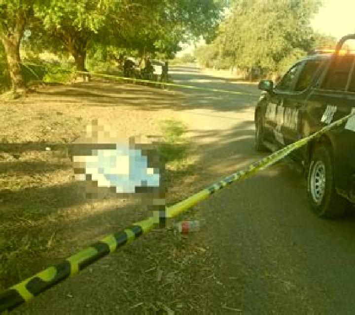 Daniela, 39, acompañante castaña de ojos oscuros y etnia eslava basada en Salvaleon de Higueey. Ofrece Experiencia de novia, Chica de fiesta, Masaje. Disponi...