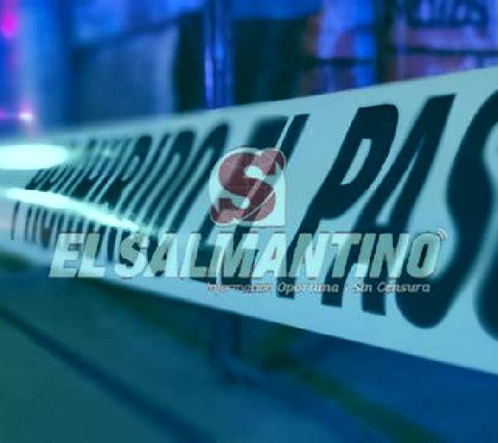 Elena, 20, acompañante rubia de ojos verdes y etnia mezcla basada en Chamerau. Ofrece Chica de fiesta, Griego (anal), Acompañante de viaje, Striptease, Hasta...