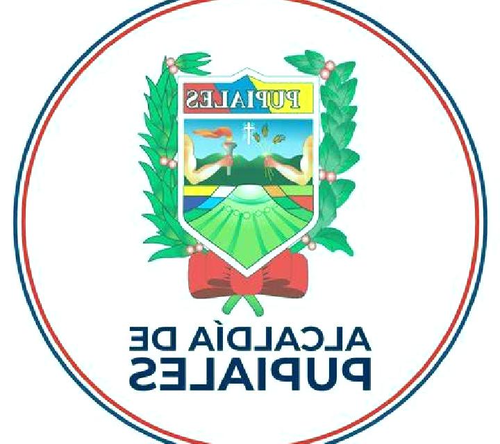 Elena, 39, acompañante pelirroja de ojos verdes y etnia europea basada en Jidvei. Ofrece GFE (Experiencia de novia), Masaje de próstata, Griego (anal), Fetic...