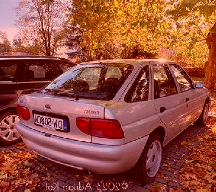 escort Alton