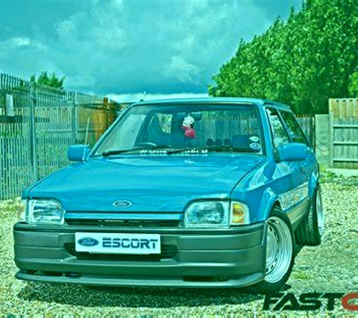 escort Argo