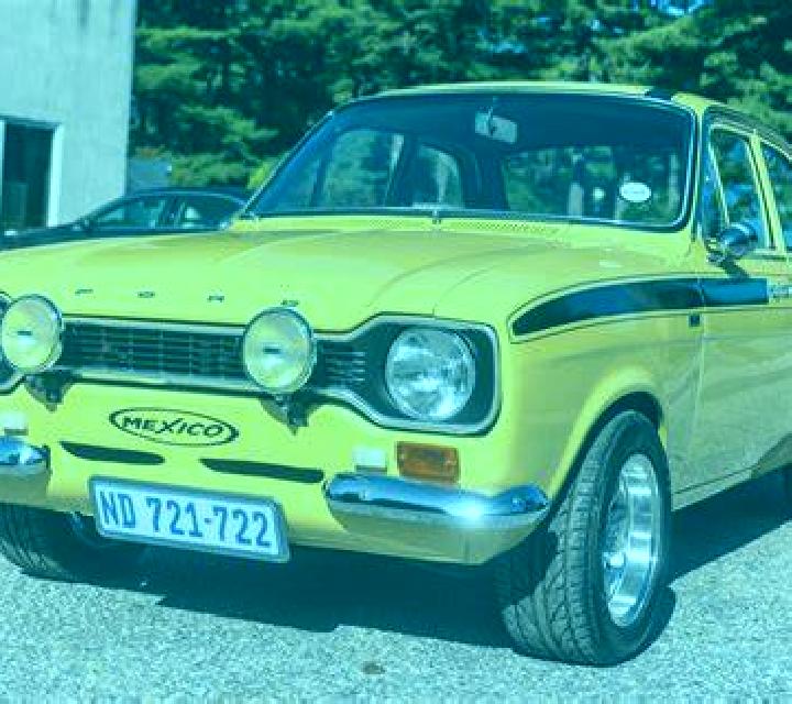 escort Bardwell