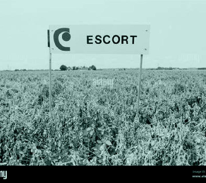 escort Bishui