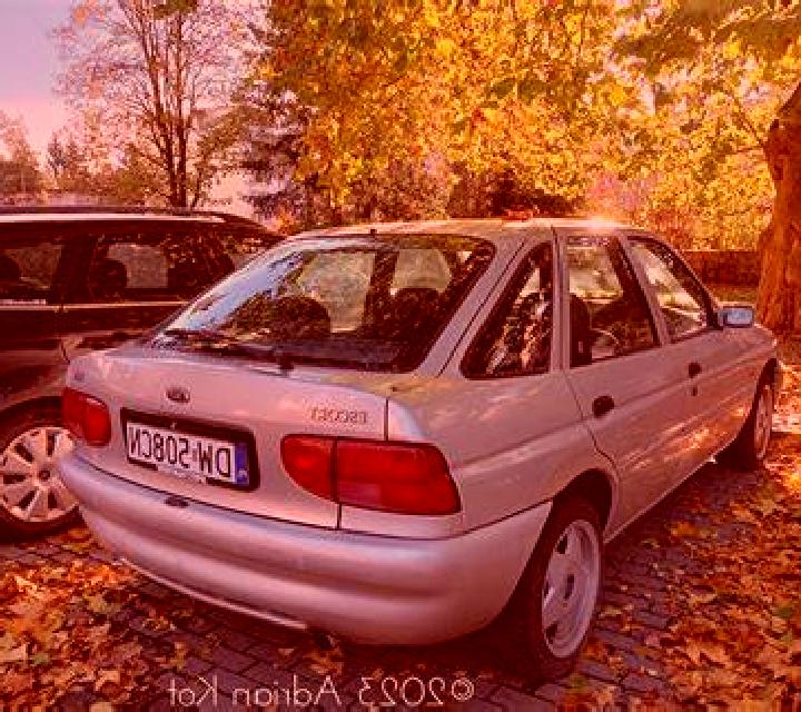 escort Bogorodskoye