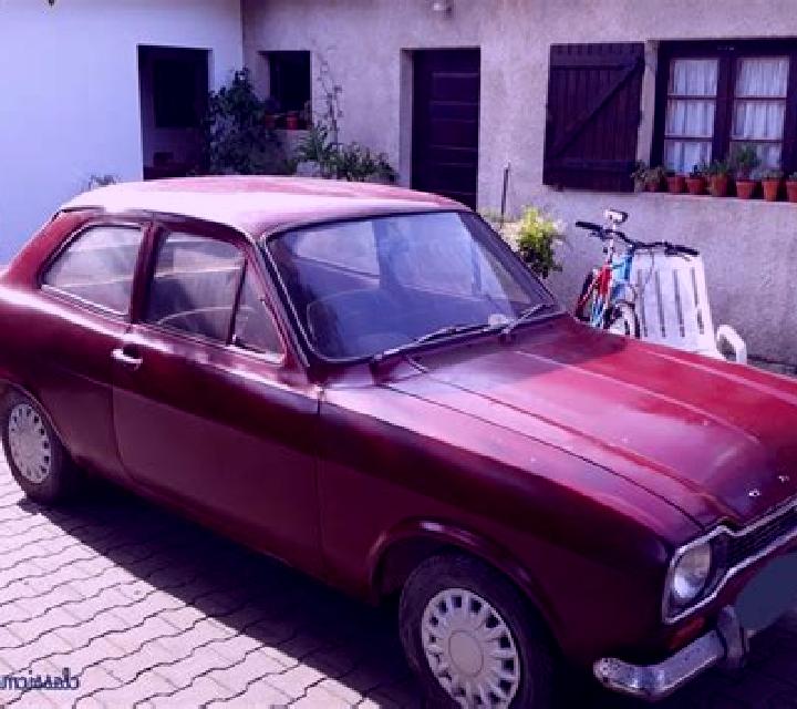 escort Camlikaya