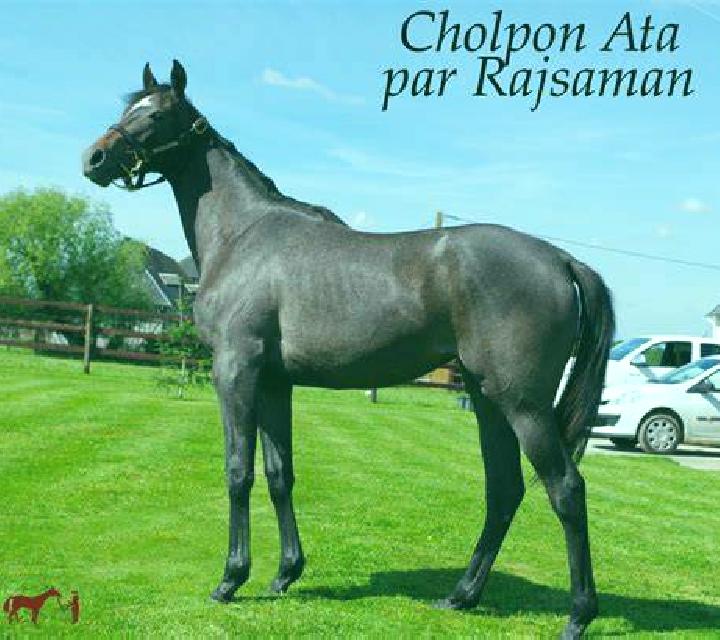 escort Cholpon-Ata