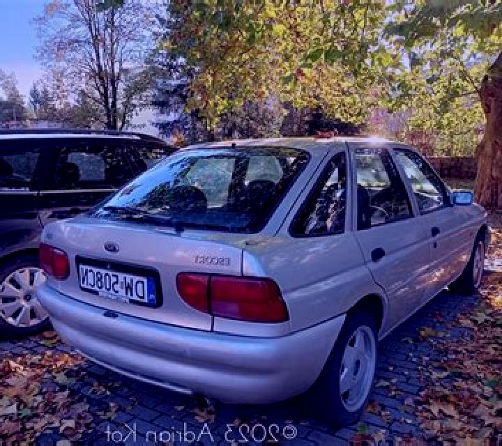 escort Den Dungen