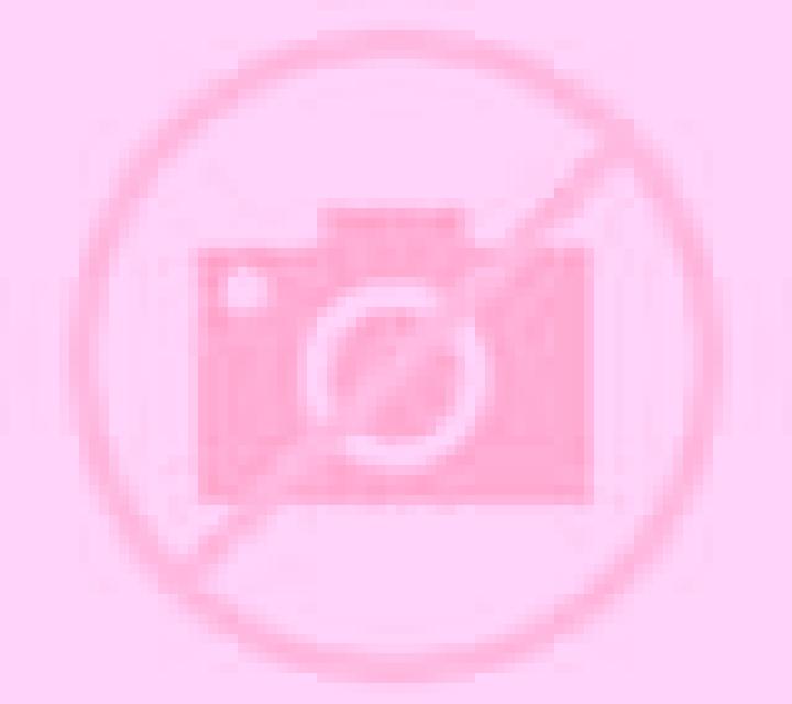 escort Despotovo
