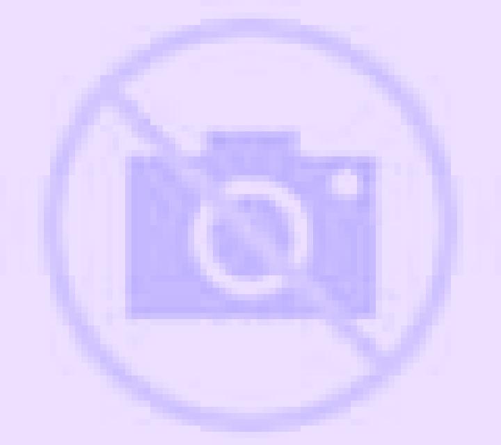 escort Ebstorf