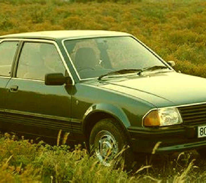 escort Falkenhain