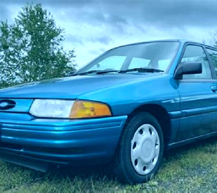 escort Gardena