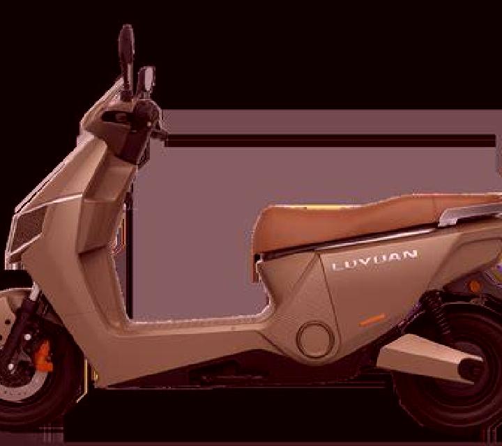 escort Juayua
