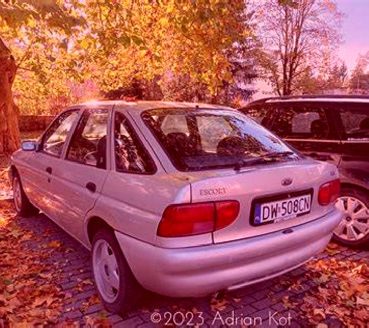 escort Krynychky