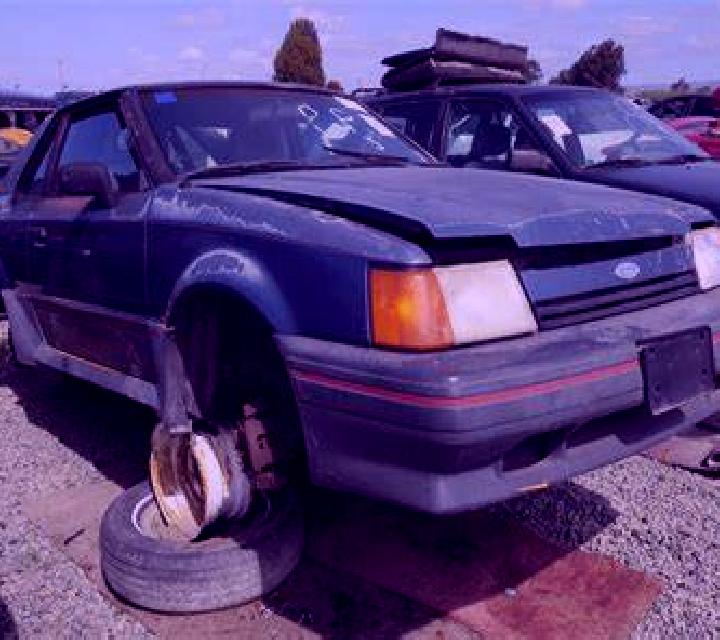 escort North Ward