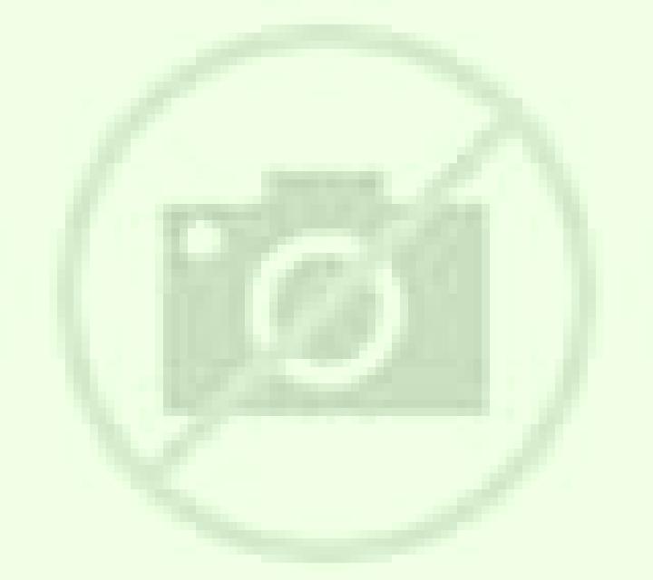 escort Opechenskiy Posad