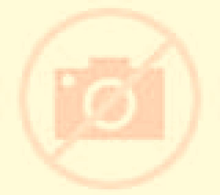 escort Pinar del Rio