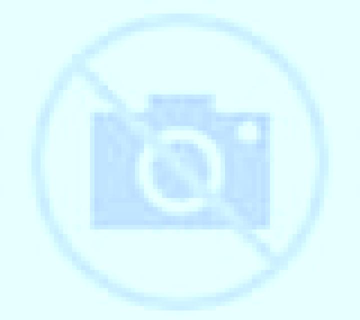 escort Roslin