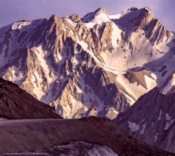 escort Sayani