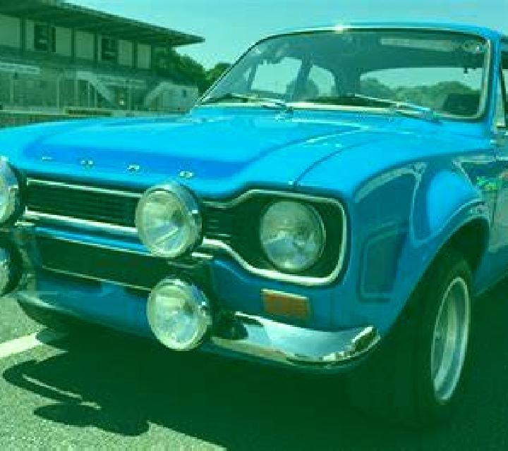 escort Stevensville