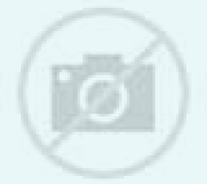 escort Swakopmund