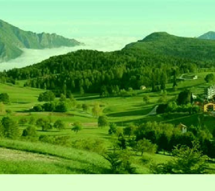 escort Tecalpulco