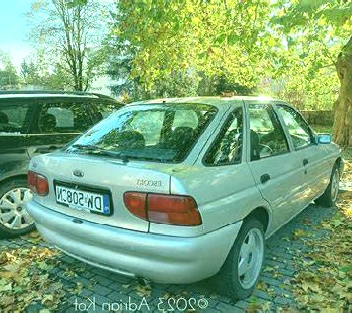 escort Vyazniki