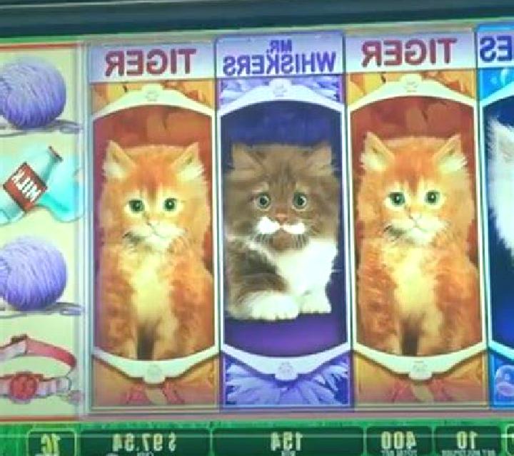 escort Wangdue Phodrang