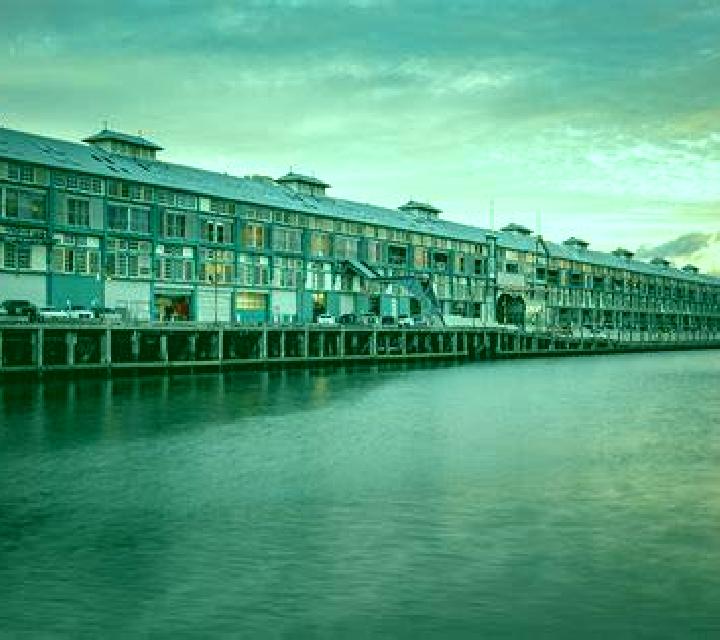 escort Woolloomooloo