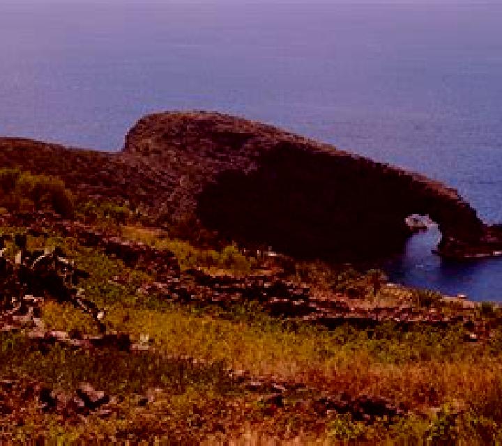 escort Yizhar