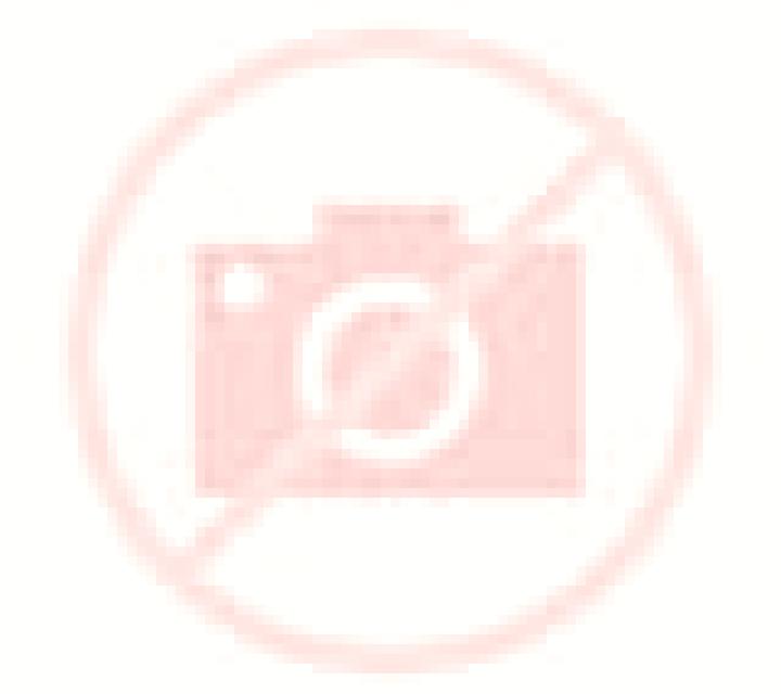 Escorts Bussiere-Poitevine, Francia — Chicas y putas locales