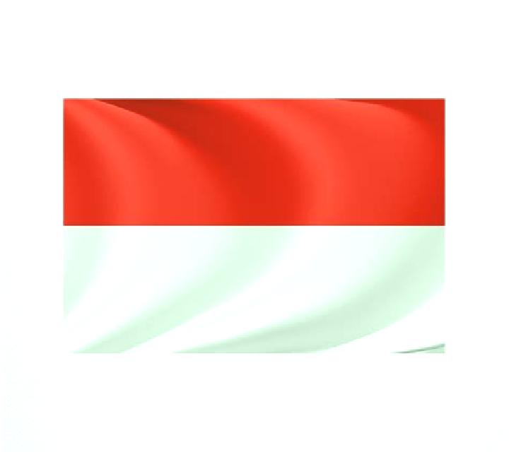 Escorts In Buri, Tailandia — Chicas y putas locales