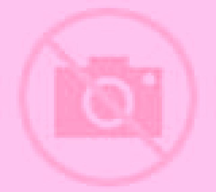 Escorts Indian Mountain Lake, Estados Unidos — Chicas y putas locales