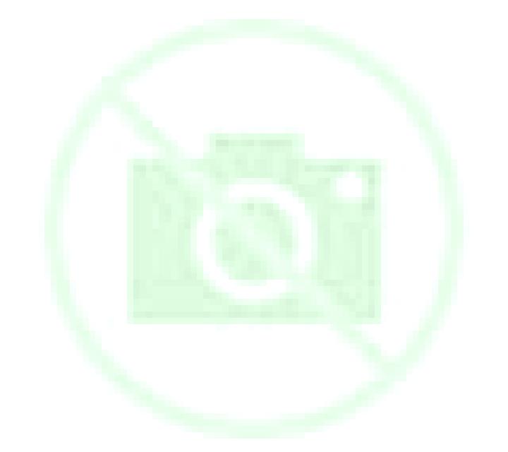 Escorts Kengyuan, China — Chicas y putas locales